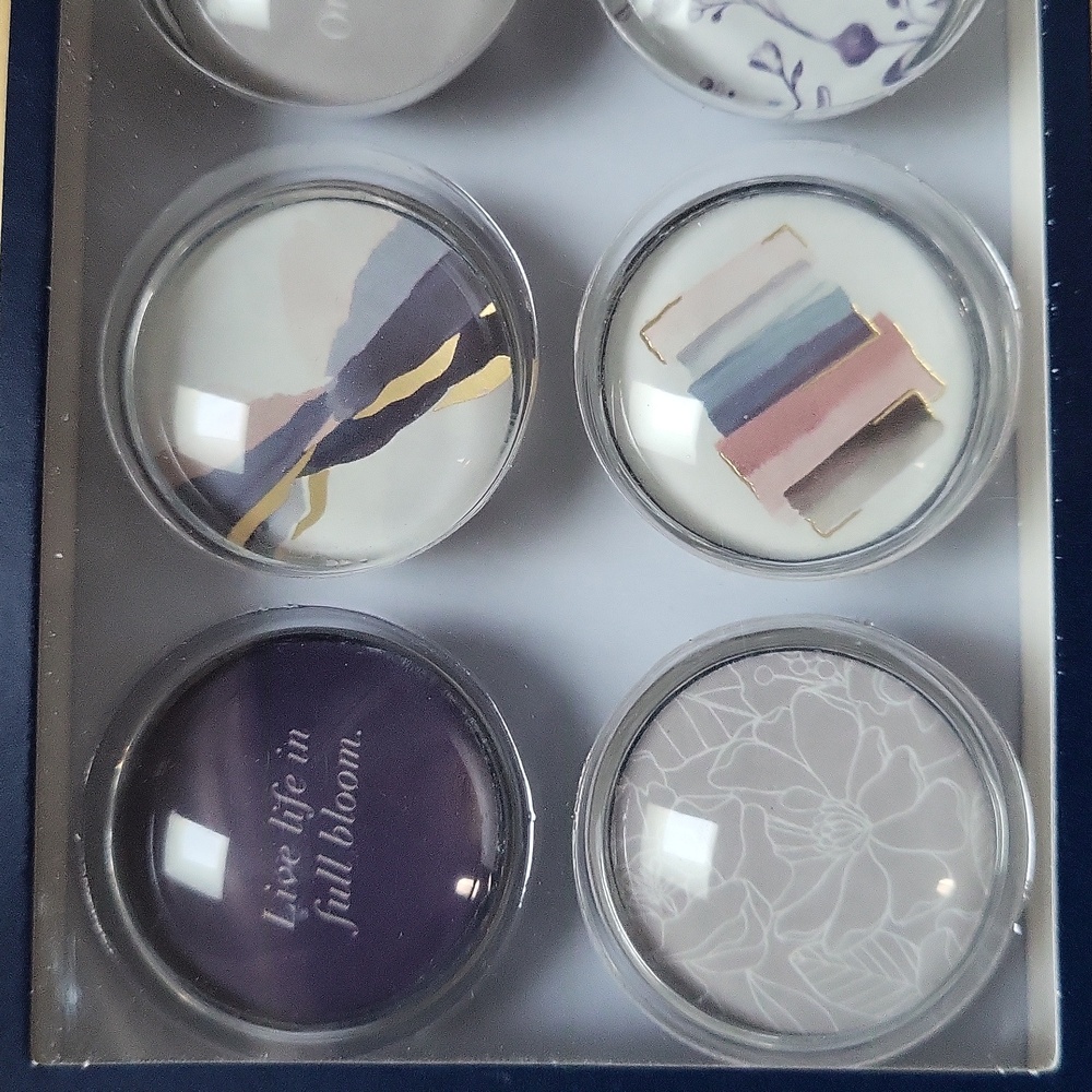 Set of 6 Magnets From Indigo, New With Tags - Picture 3 of 4